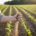 fazendeiro-verificando-a-qualidade-do-solo-nas-proximidades-de-sua-plantacao-como-representacao-da-ideia-de-agricultura